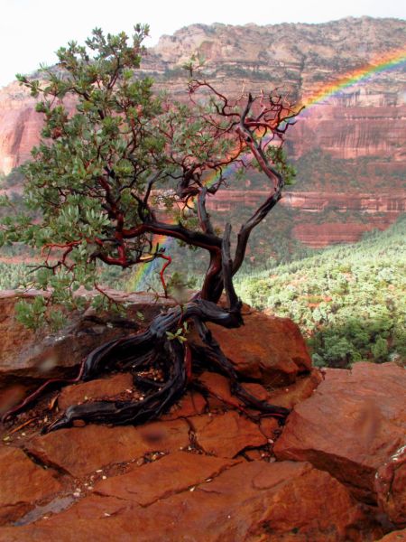 Endroits du globe qui font rêver - 46