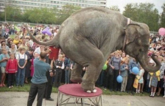 Des emplois pas drles du tout - 11