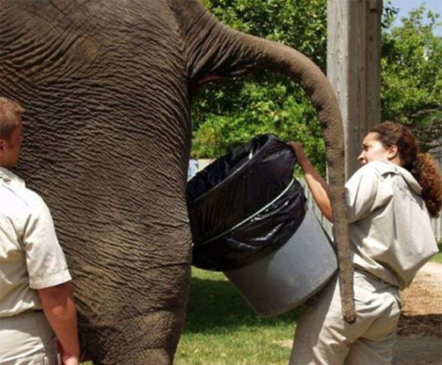 Des emplois pas drles du tout - 45