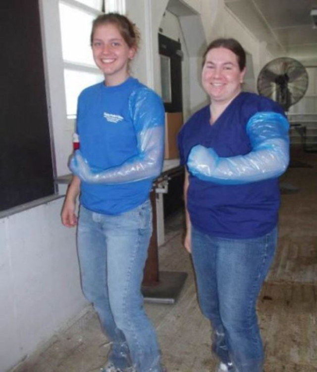 Des emplois pas drles du tout - 8