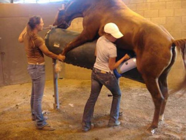 Des emplois pas drles du tout - 9