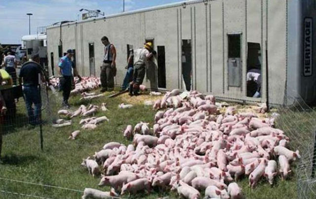 Accidents de voiture ou de camion - 14