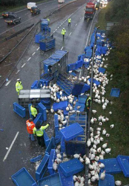 Accidents de voiture ou de camion - 20
