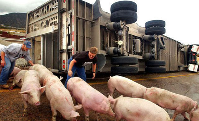 Accidents de voiture ou de camion - 6