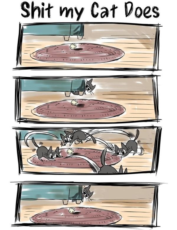 Pour les amoureux des chats... (Ruse de sioux.)