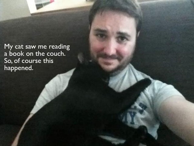 Pour les amoureux des chats... (Quand mon chat me voit lire sur le canap, voil ce qu'il fait toujours...)