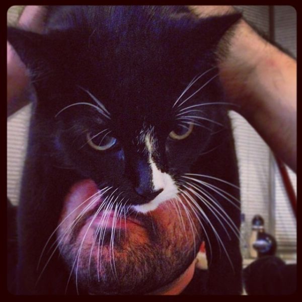 Catman. L'homme avec un chat sur la tte - 10