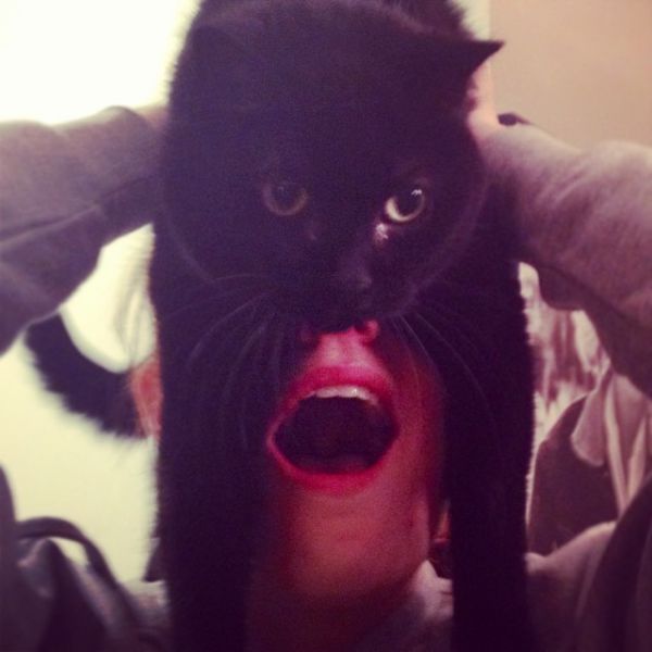 Catman. L'homme avec un chat sur la tte - 11