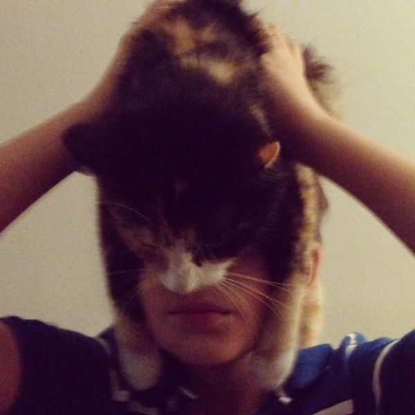 Catman. L'homme avec un chat sur la tte - 12