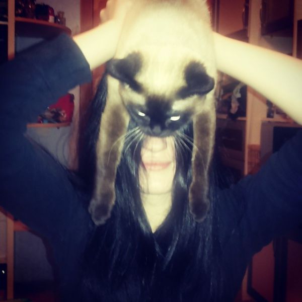 Catman. L'homme avec un chat sur la tte - 13