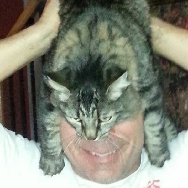 Catman. L'homme avec un chat sur la tte - 4