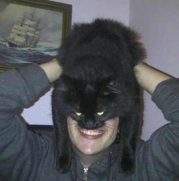 Catman. L'homme avec un chat sur la tte - 7