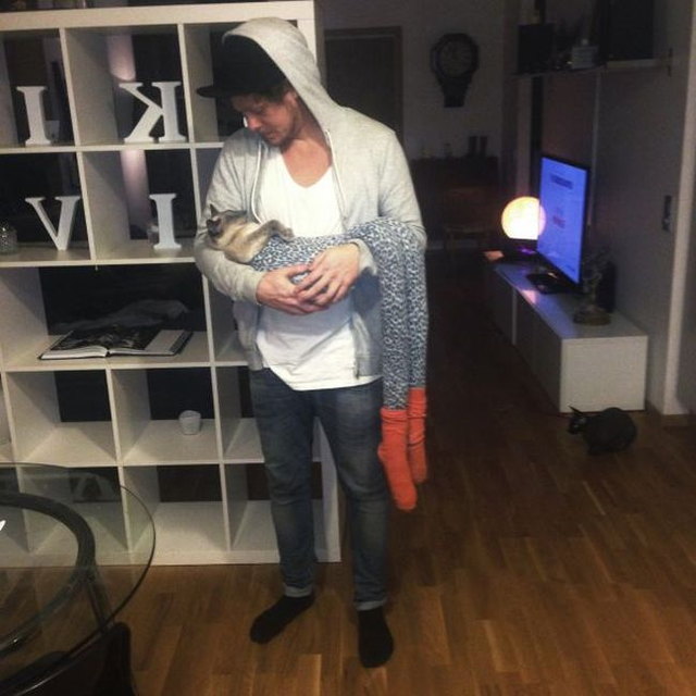 Photos de chats en collant - 13