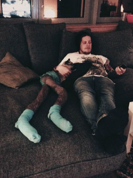 Photos de chats en collant - 6