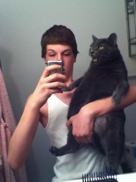 Chats qui n'aiment pas les photos (Pour ce chat, il est hors de question de sourire.)