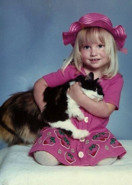 Chats qui n'aiment pas les photos (