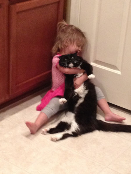 Chats qui n'aiment pas les photos (On dirait que ce chat n'aime pas les enfants.)