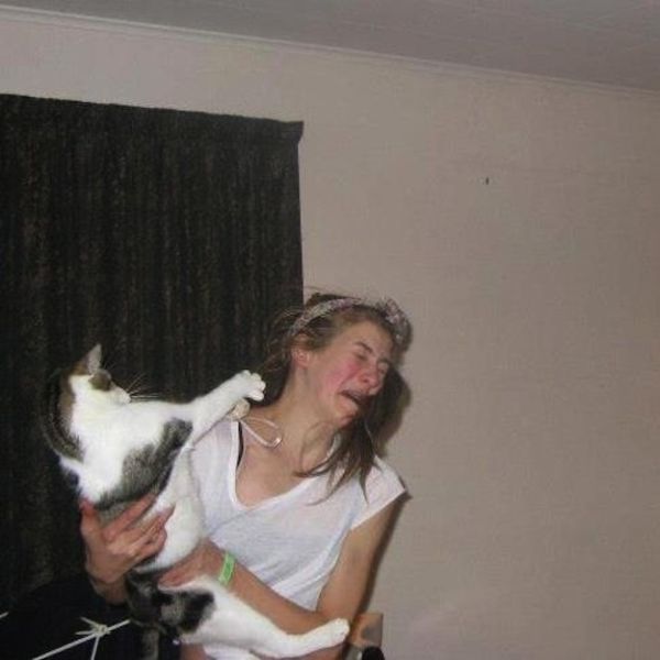 Chats qui n'aiment pas les photos (Le chat: