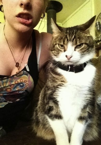 Chats qui n'aiment pas les photos (Ce chat en a marre des selfies avec sa maîtresse.)