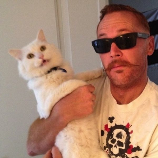 Chats qui n'aiment pas les photos (