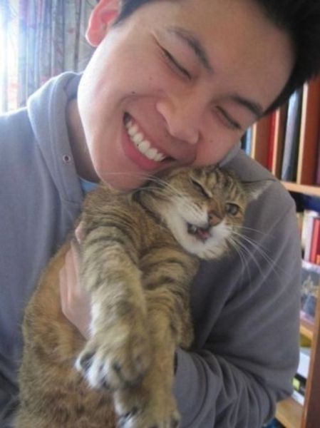 Chats qui n'aiment pas les photos (