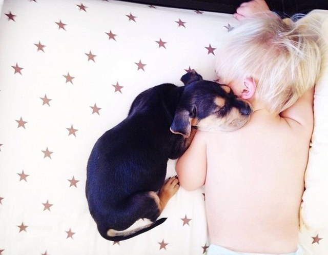 Un jeune enfant et un chiot dorment esembles - 12