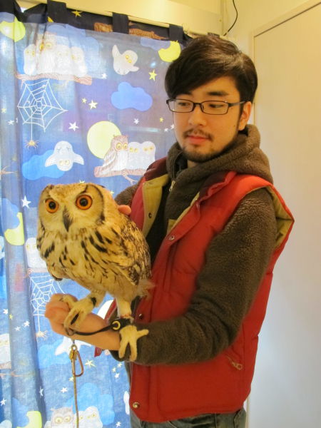 Café avec des chouettes et des hiboux - 16