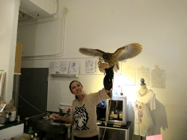 Café avec des chouettes et des hiboux - 17