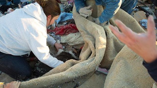 Un homme retrouve son chien après une tempête - 4