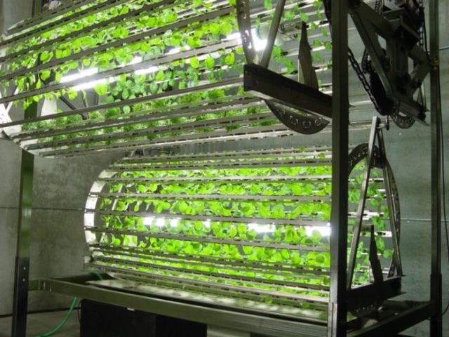 Des jardins extraordinaires - 31