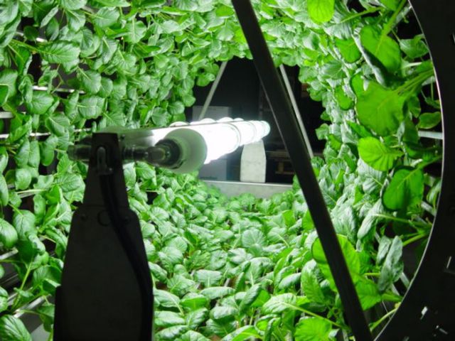 Des jardins extraordinaires - 32