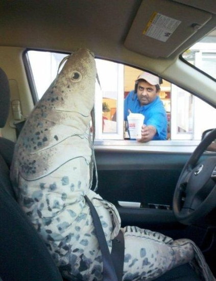 Des photos étranges - 11