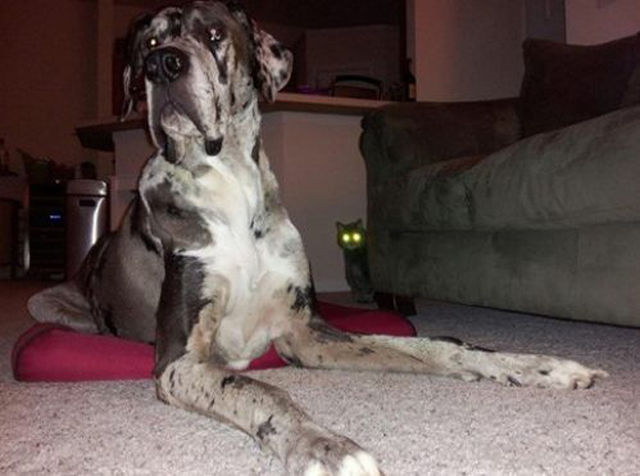 Photos rates drles - 17