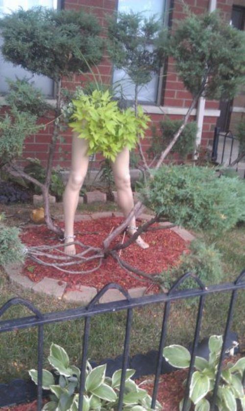 Photos sans explications - 3