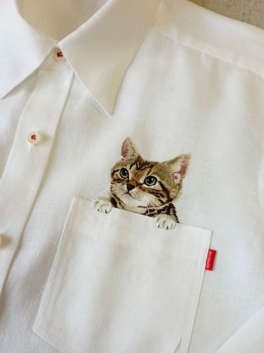 Tee shirts avec des chats - 1
