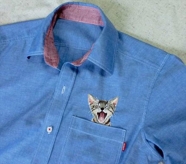 Tee shirts avec des chats - 9