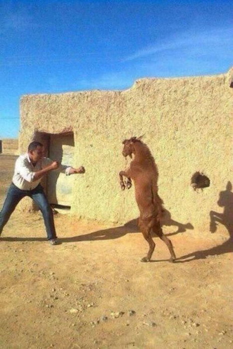 Photos bizarres - 15