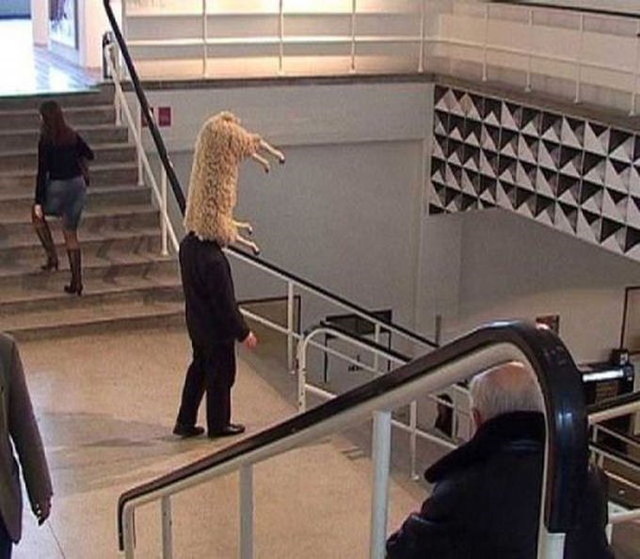 Photos bizarres - 16
