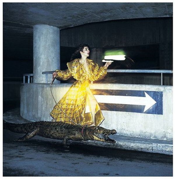 Photos bizarres - 30