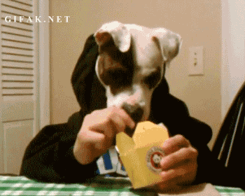 Gifs bizarres - 1