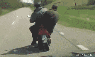 Gifs bizarres - 4
