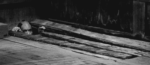 Gifs bizarres - 6