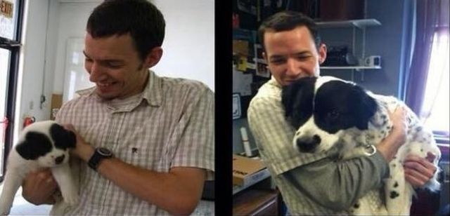 Animaux qui deviennent adultes - 13