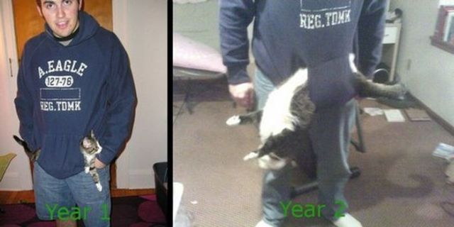 Animaux qui deviennent adultes - 16