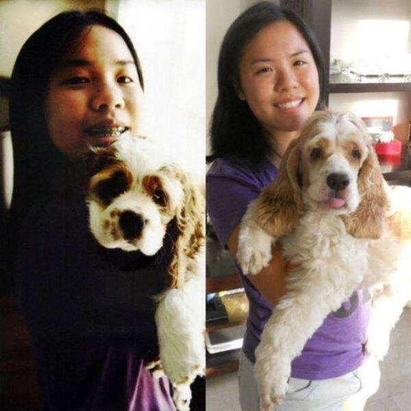 Animaux qui deviennent adultes - 6