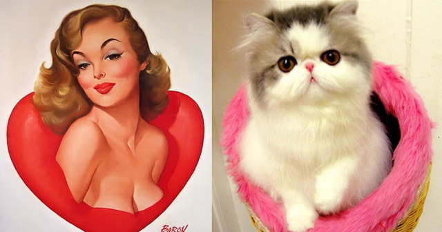 Des chats sui ressemblent  des pin-ups - 11