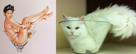 Des chats sui ressemblent  des pin-ups - 13