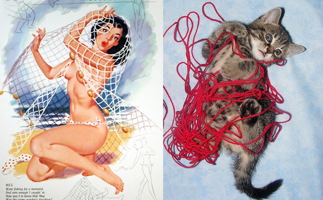 Des chats sui ressemblent  des pin-ups - 3