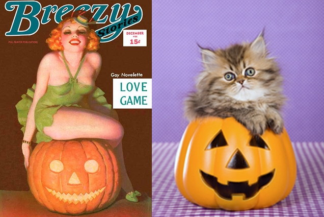 Des chats sui ressemblent  des pin-ups - 4