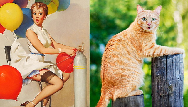 Des chats sui ressemblent  des pin-ups - 5
